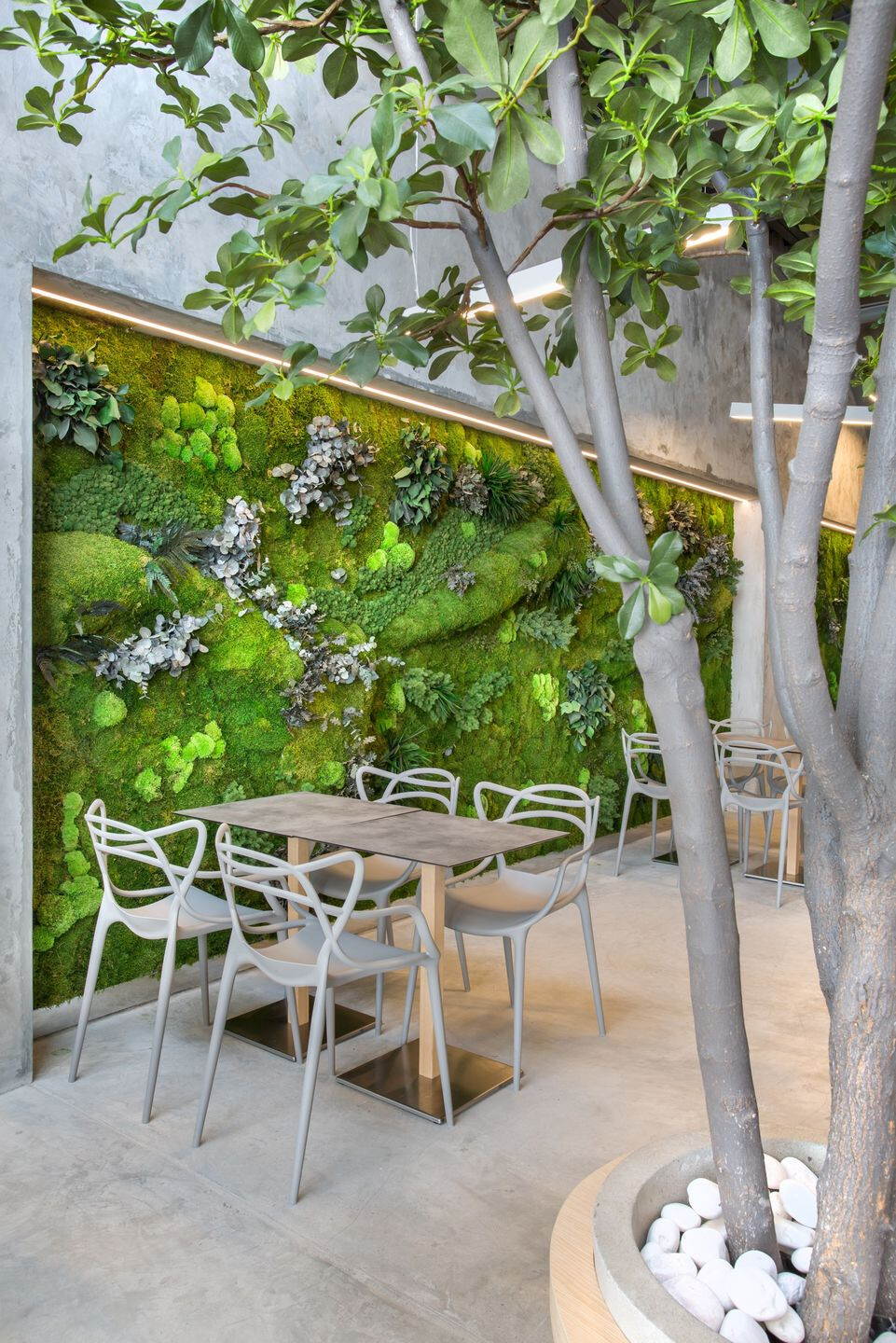 https://archello.com/story/61965/attachments/photos-videos/6 photo_credit Propixel Panamá
