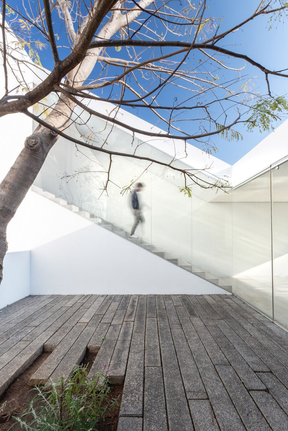 https://archello.com/story/62577/attachments/photos-videos/1 photo_credit Cesar Belio