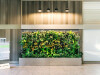 Office Living Wall Biofilters