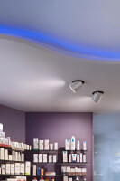 Pure Downlight