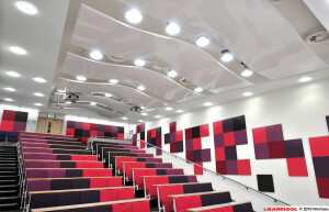 Arcolis® acoustic panels and baffles