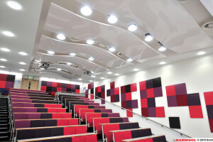 Arcolis® acoustic panels and baffles