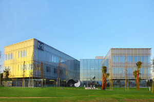 C.M. Plastic Surgery Clinic