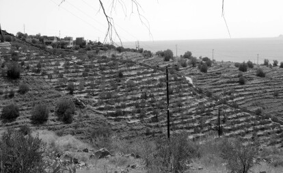 photo 1: "Pezoules", a farming technique that preserved the precious soil from being washed away and turned the slope into arable terraces .