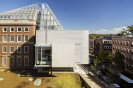 Harvard Art Museums renovation and expansion