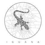 Iguana Architects