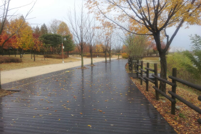 BAMBOO DECKING or CLADDING by BambooXL