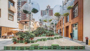 Urban Bloom