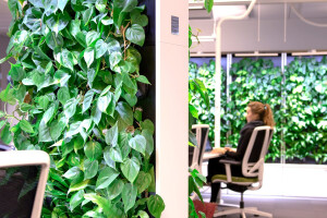 Naava Green Healthtech Wall