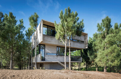 House In The Trees