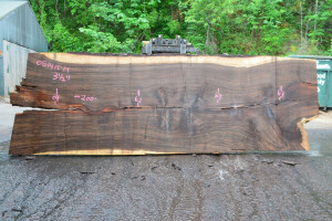 Oregon Black Walnut Slab