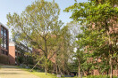 Xiao Jing Wang University