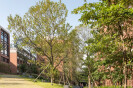 Xiao Jing Wang University