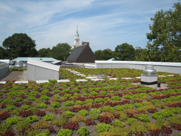 Extensive Garden Roof® Assembly
