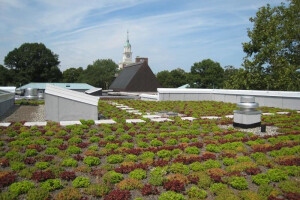 Extensive Garden Roof® Assembly