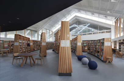 Taketa city library