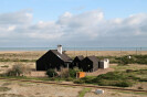 The Shingle house