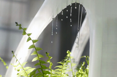 The world’s first 3D printed irrigated green wall