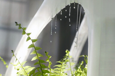 The world’s first 3D printed irrigated green wall The world’s first 3D printed irrigated green wall