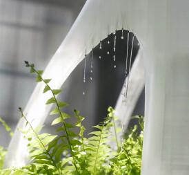 The world’s first 3D printed irrigated green wall
