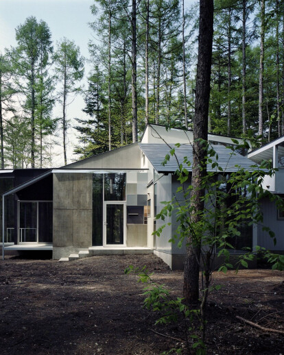 Gradation in the Forest House