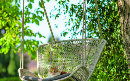 Wing light Relax hanging chair