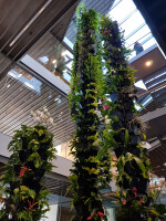 Plant column