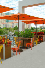 commercial Restaurant Planters