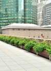 Multi-Section Commercial Planters