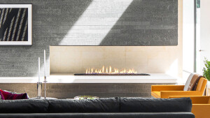 G Series Fireplace