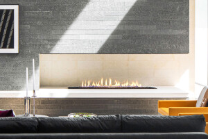 G Series Fireplace