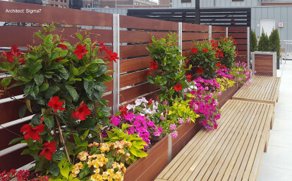 Roof deck restaurant planter mounted integral wood screen wall without penetrations