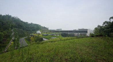 Community Center green roof details