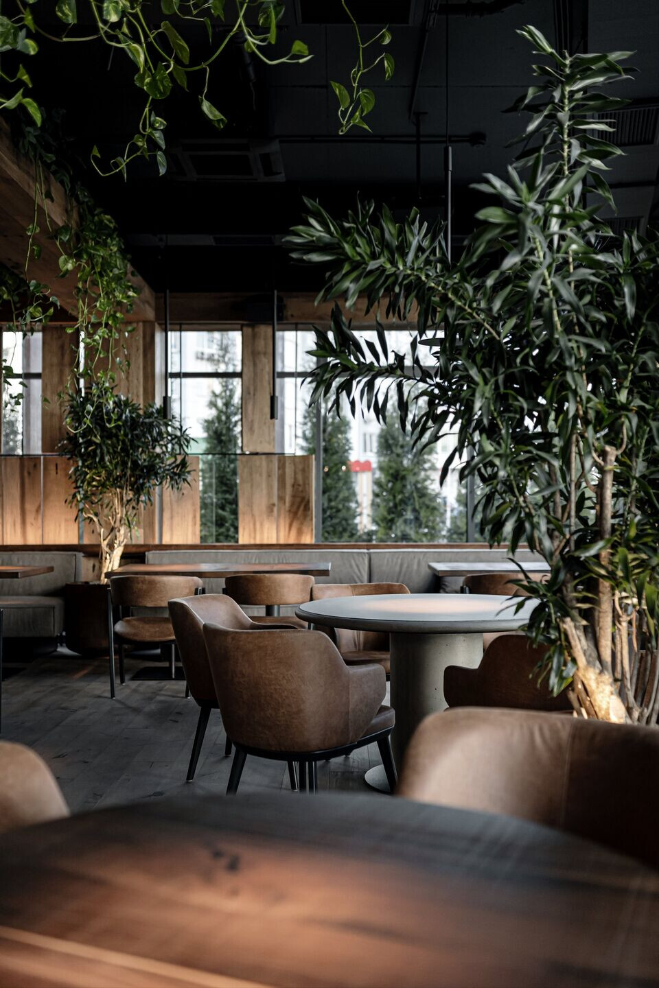 https://archello.com/story/88301/attachments/photos-videos/3 photo_credit Andrii Shurpenkov