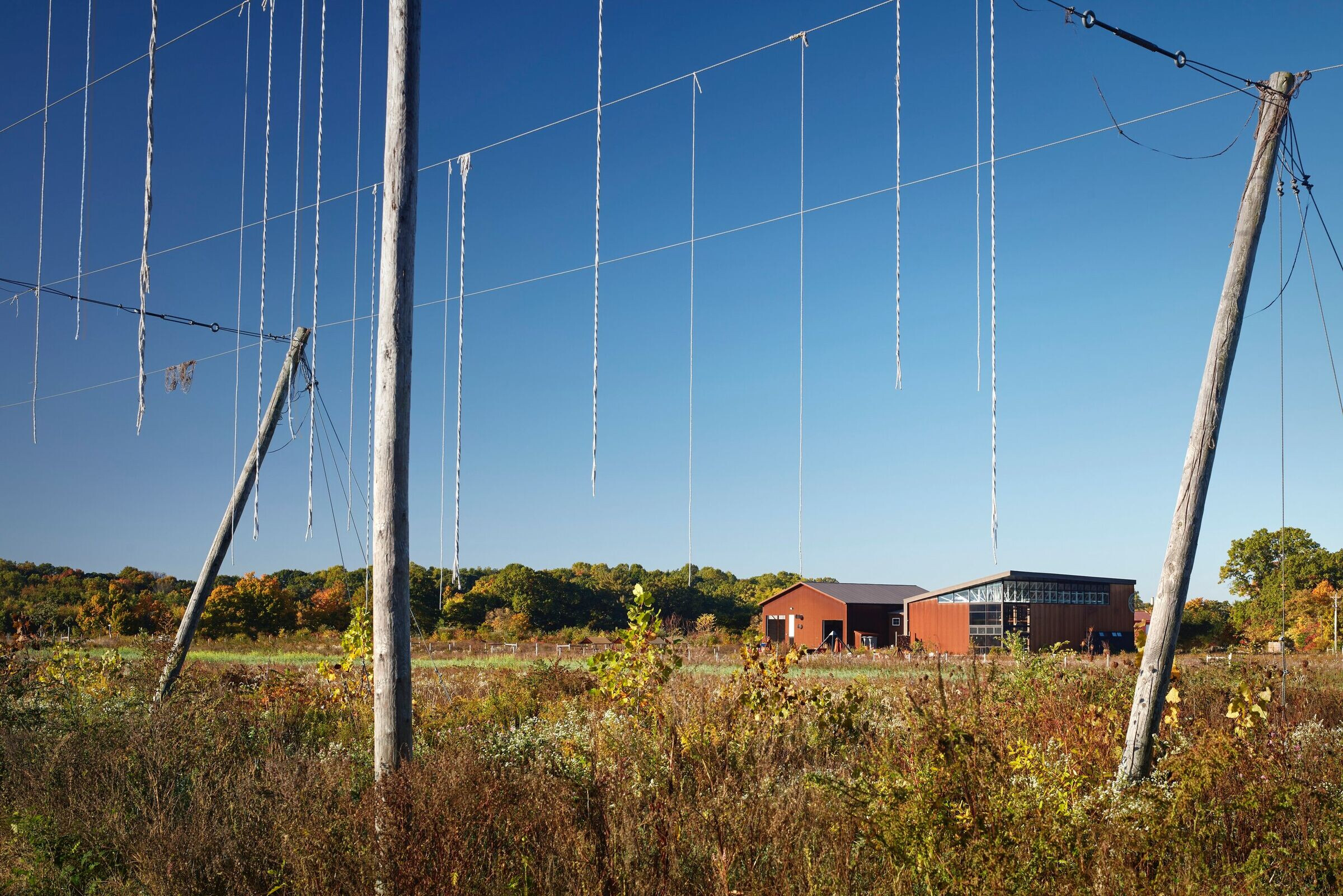 https://archello.com/story/88749/attachments/photos-videos/5 photo_credit Kendall McCaugherty © Hall+Merrick Photographers