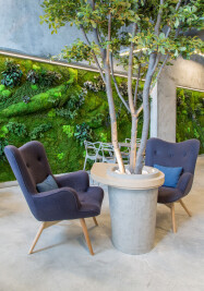 T-BAR - Indoor Green walls