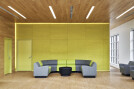 Colorful acoustic, feature wall and resilient furniture.
