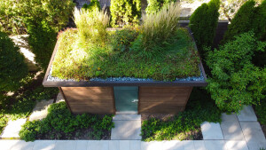 Green roof (Intensive & Extensive)
