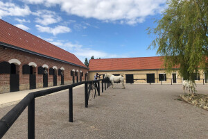 Boulonnais Horse House