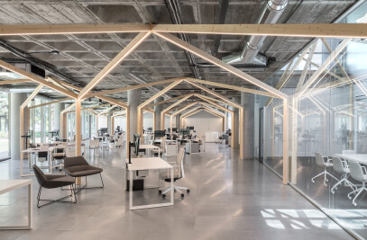 Satlink Offices: A forest behind the forest
