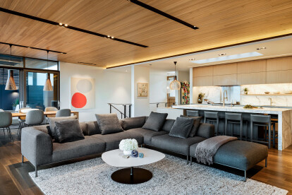 Prospect House (Lane Williams Architects with Swivel Interiors)