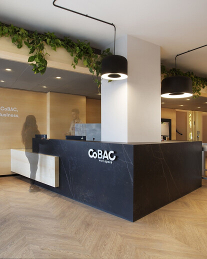 CoBAC Workspace