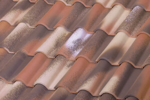 TB-12 CERAMIC ROOF TILE | NATURE BIDASOA®