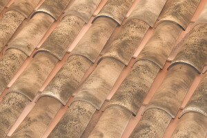 C-50.21 CELLER CURVED ROOF TILE | NATURE EDETANIA®