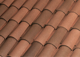 C-50.21 CELLER CURVED ROOF TILE | NATURE FOSCA