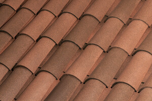 C-50.21 CELLER CURVED ROOF TILE | NATURE FOSCA