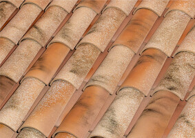 C-50.21 CELLER CURVED ROOF TILE | NATURE LAMALOU®