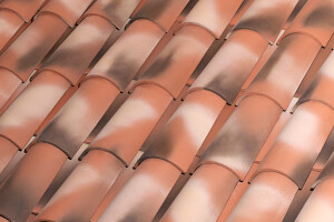 C-50.21 CELLER CURVED ROOF TILE | NATURE MANOIR®