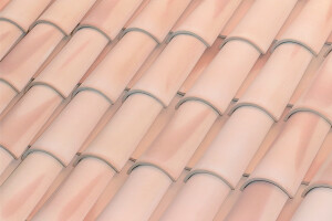 C-50.21 CELLER CURVED ROOF TILE | NATURE JASPEADA WHITE