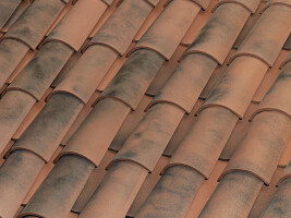 C-45.20 CURVED ROOF TILE | NATURE MOSS RED